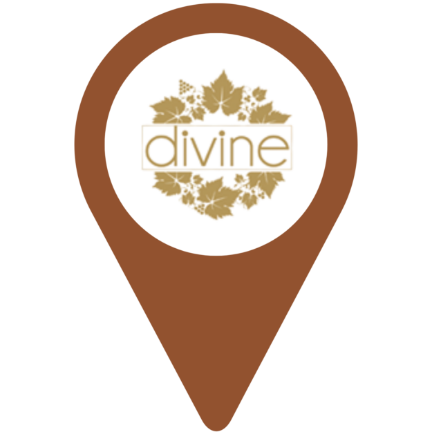 Pin na mapě s logem Divine